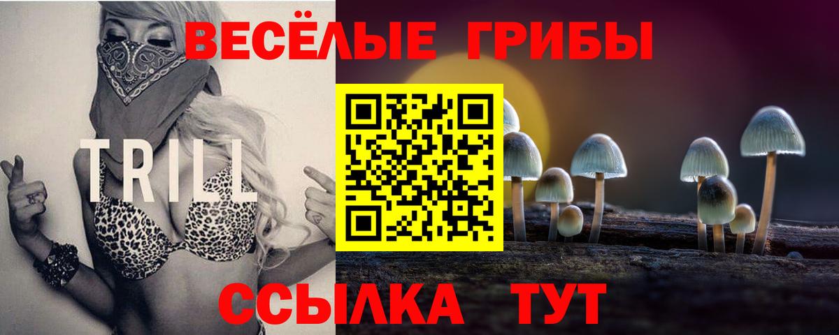 Псилоцибиновые грибы прущие грибы  купить закладку  Юрга  Вход с VPN  Галлюциногенные грибы прущие грибы 